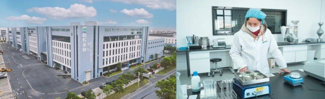 主粮新商机贺四喜大米